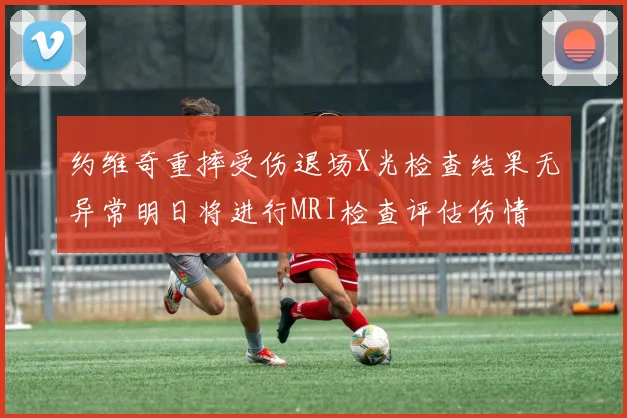 约维奇重摔受伤退场X光检查结果无异常明日将进行MRI检查评估伤情
