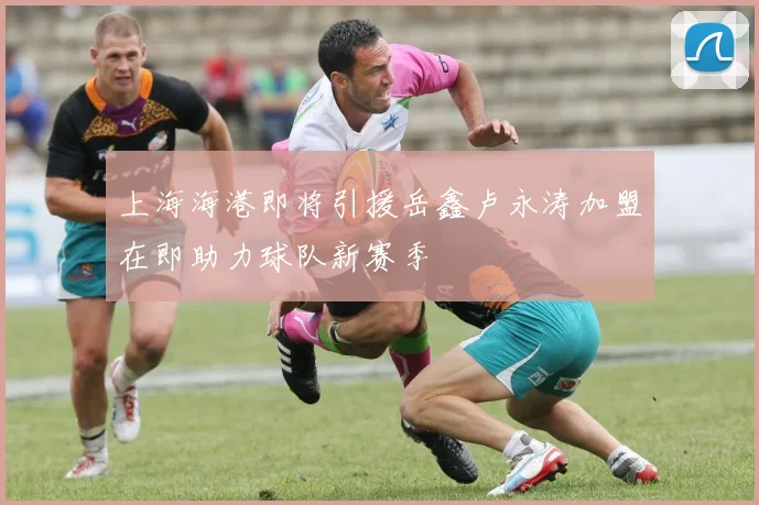 上海海港即将引援岳鑫卢永涛加盟在即助力球队新赛季
