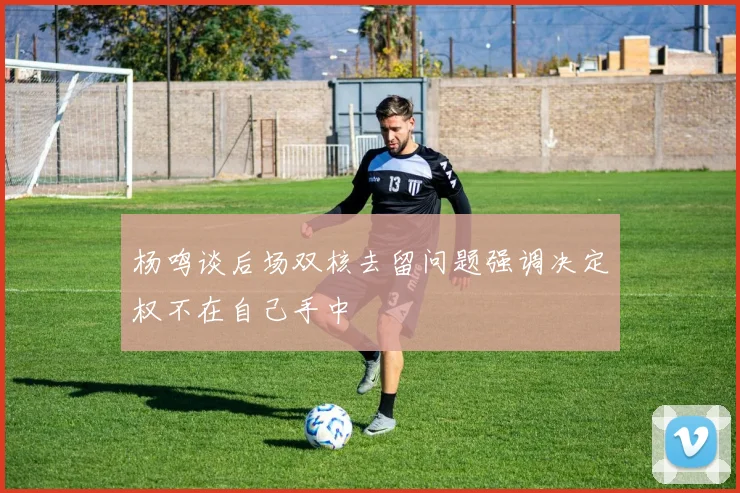 杨鸣谈后场双核去留问题强调决定权不在自己手中